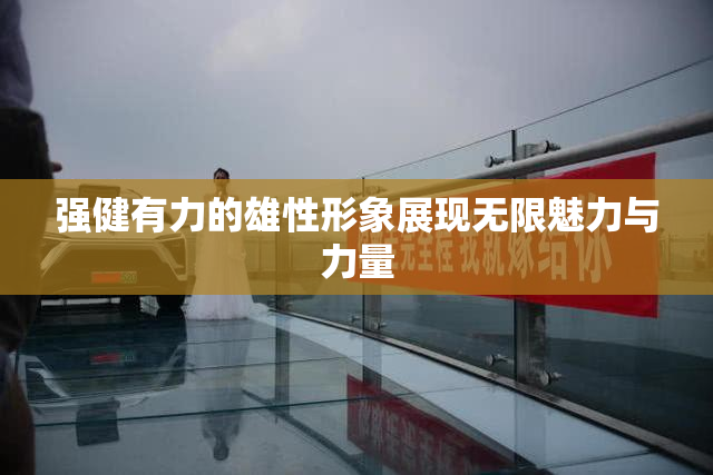 强健有力的雄性形象展现无限魅力与力量
