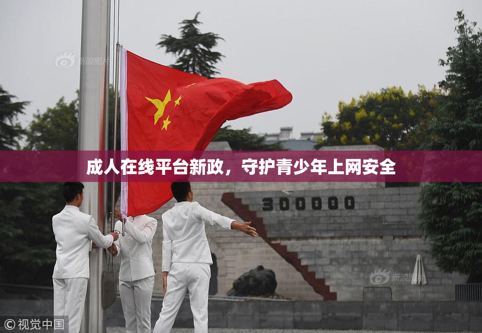 成人在线平台新政，守护青少年上网安全