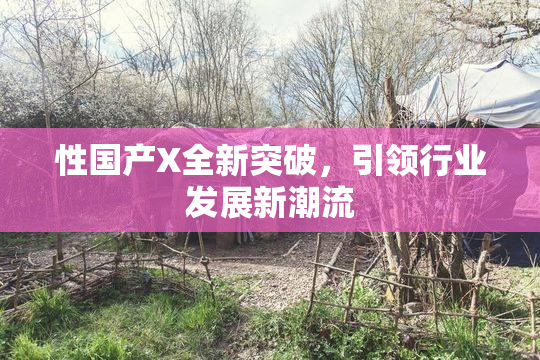 性国产X全新突破，引领行业发展新潮流