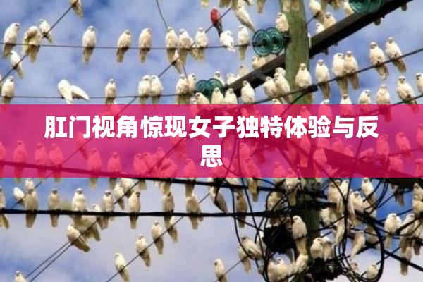 肛门视角惊现女子独特体验与反思