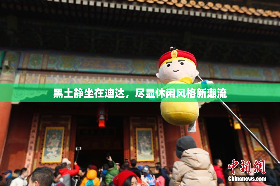 黑土静坐在迪达，尽显休闲风格新潮流
