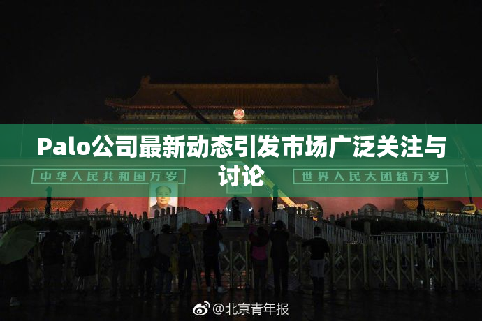 Palo公司最新动态引发市场广泛关注与讨论