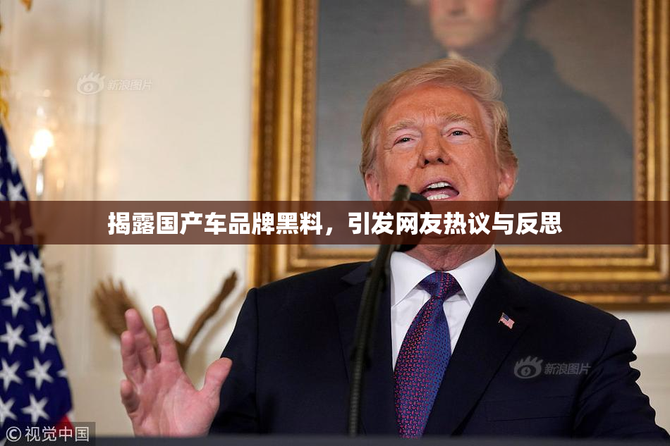 揭露国产车品牌黑料，引发网友热议与反思