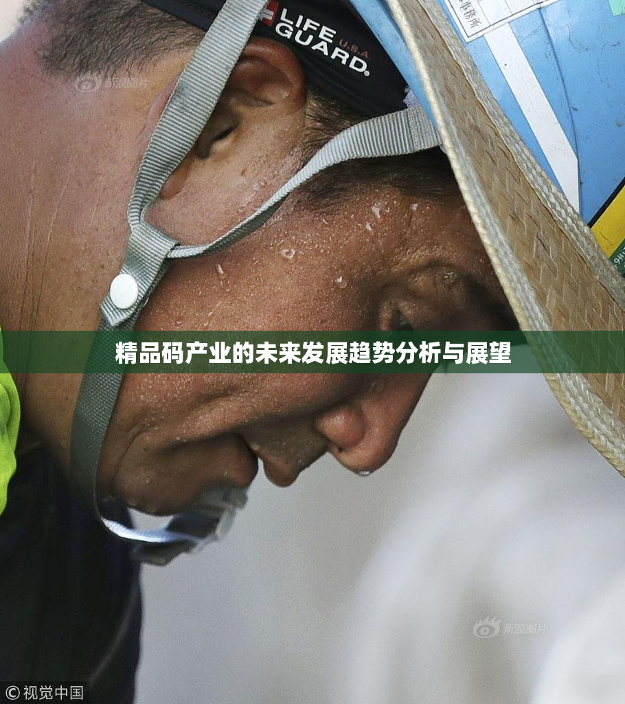 精品码产业的未来发展趋势分析与展望