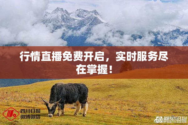行情直播免费开启，实时服务尽在掌握！