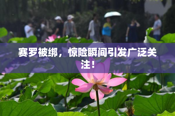 赛罗被绑，惊险瞬间引发广泛关注！
