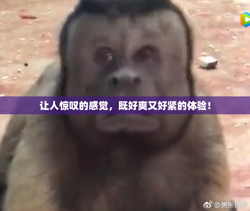 让人惊叹的感觉，既好爽又好紧的体验！