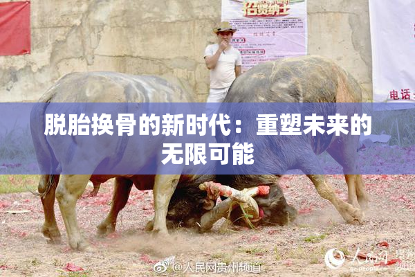 脱胎换骨的新时代：重塑未来的无限可能