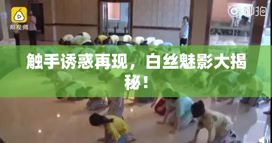 触手诱惑再现，白丝魅影大揭秘！