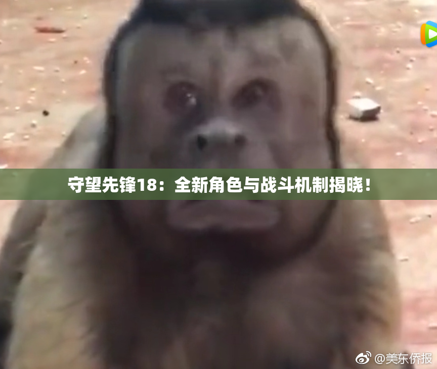 守望先锋18：全新角色与战斗机制揭晓！