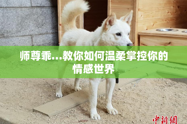 师尊乖…教你如何温柔掌控你的情感世界