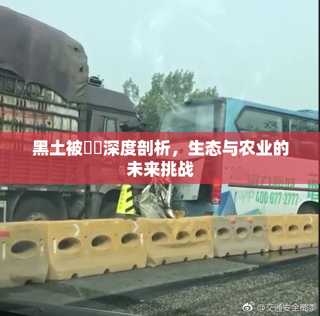 黑土被❌‌深度剖析，生态与农业的未来挑战