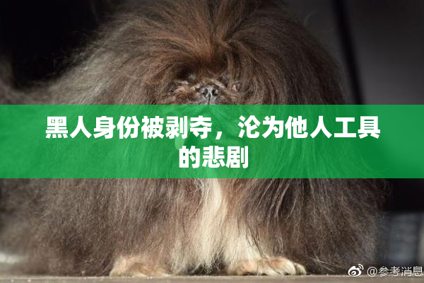 黑人身份被剥夺，沦为他人工具的悲剧