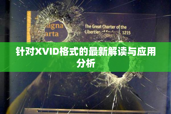 针对XVID格式的最新解读与应用分析