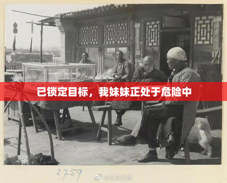 已锁定目标，我妹妹正处于危险中
