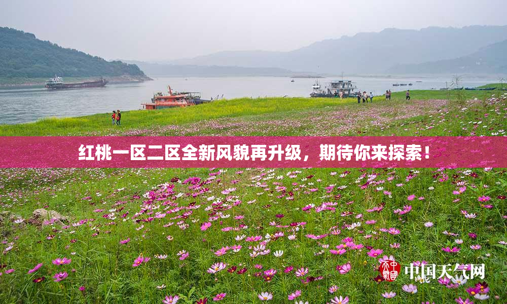 红桃一区二区全新风貌再升级，期待你来探索！