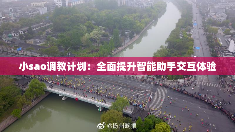 小sao调教计划：全面提升智能助手交互体验