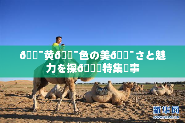 🔯黄🔯色の美🔯さと魅力を探🌃特集記事