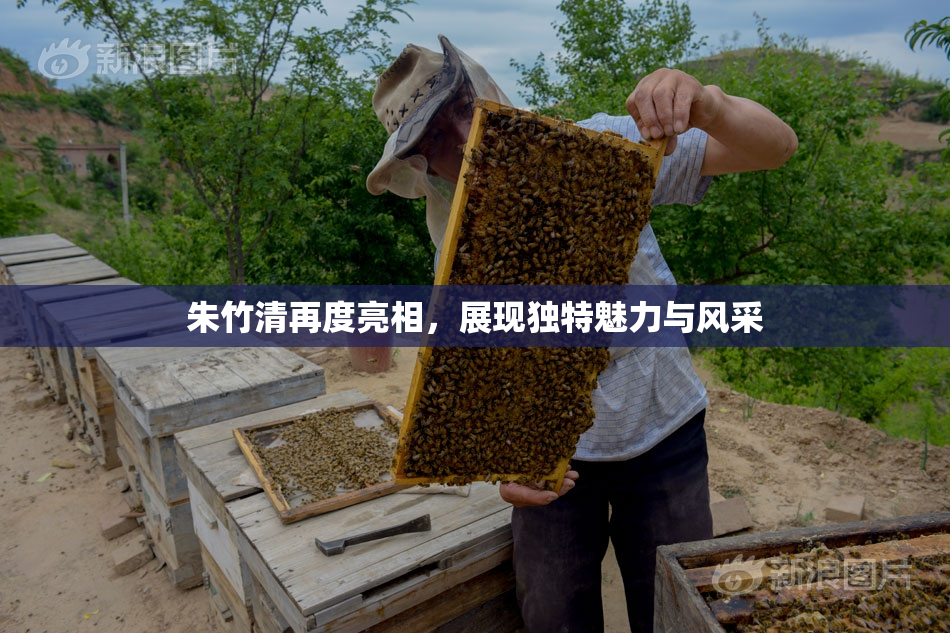 朱竹清再度亮相，展现独特魅力与风采
