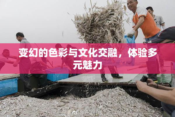 变幻的色彩与文化交融，体验多元魅力