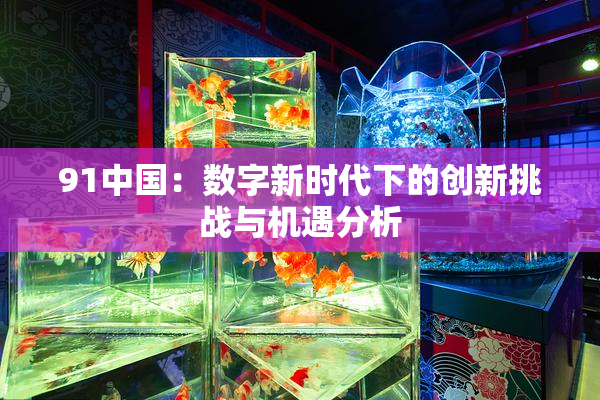 91中国：数字新时代下的创新挑战与机遇分析