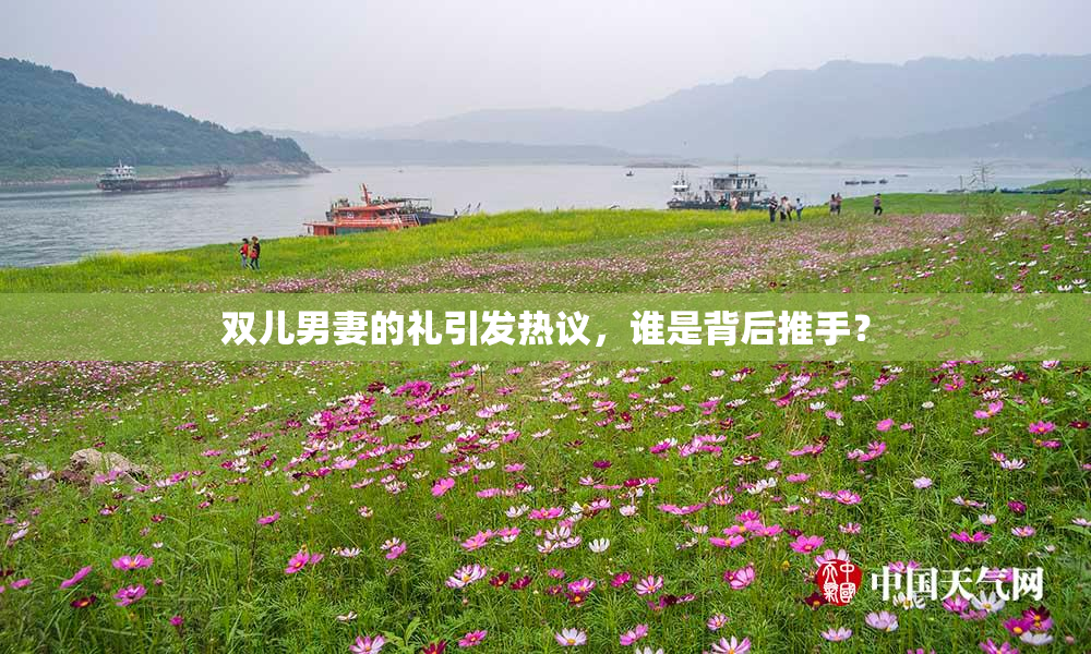 双儿男妻的礼引发热议，谁是背后推手？