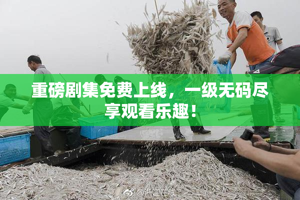 重磅剧集免费上线，一级无码尽享观看乐趣！
