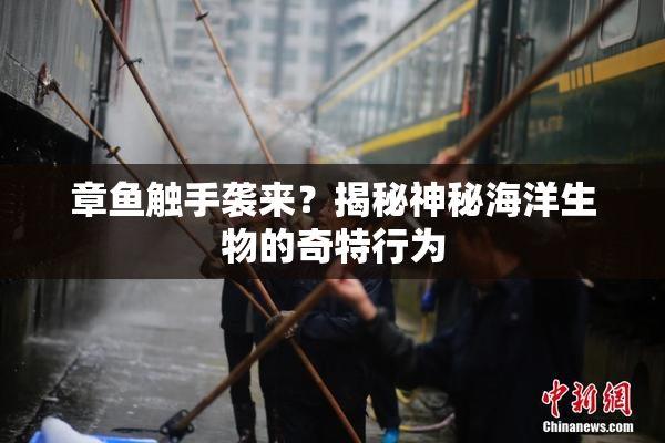 章鱼触手袭来？揭秘神秘海洋生物的奇特行为
