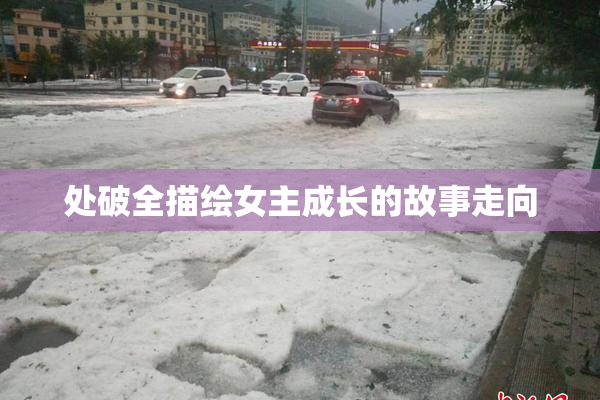 处破全描绘女主成长的故事走向