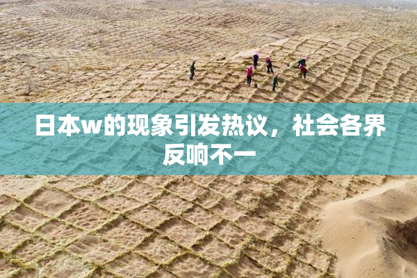日本w的现象引发热议，社会各界反响不一