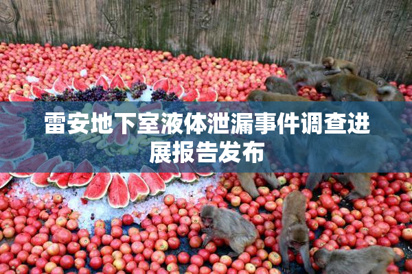 雷安地下室液体泄漏事件调查进展报告发布