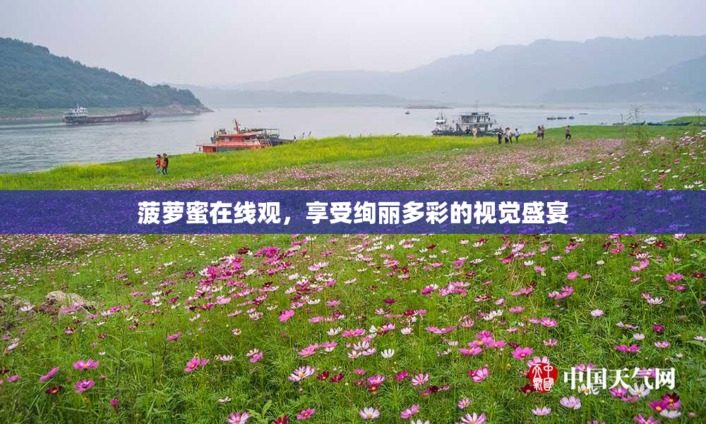 菠萝蜜在线观，享受绚丽多彩的视觉盛宴