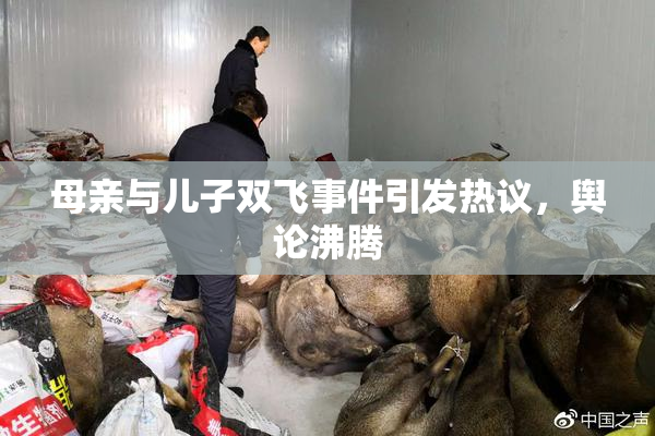 母亲与儿子双飞事件引发热议，舆论沸腾