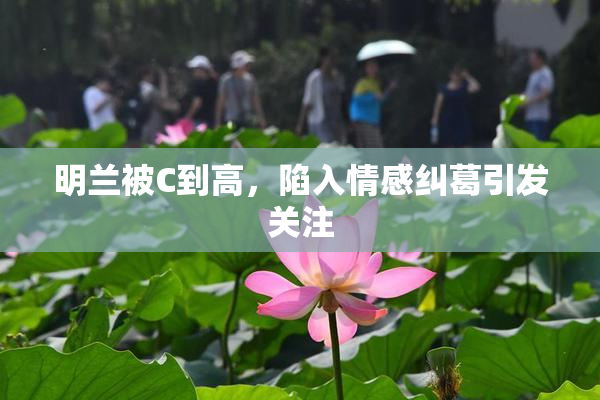 明兰被C到高，陷入情感纠葛引发关注