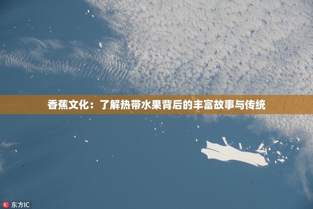 香蕉文化：了解热带水果背后的丰富故事与传统