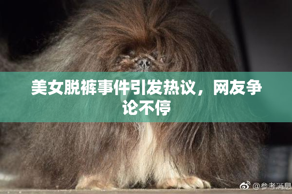 美女脱裤事件引发热议，网友争论不停