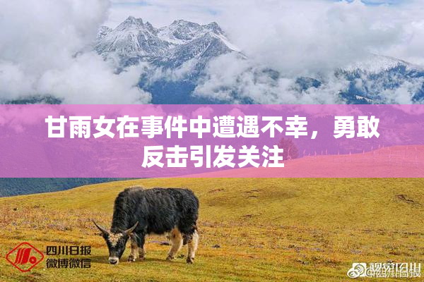 甘雨女在事件中遭遇不幸，勇敢反击引发关注