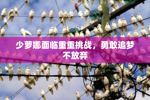 少萝娜面临重重挑战，勇敢追梦不放弃