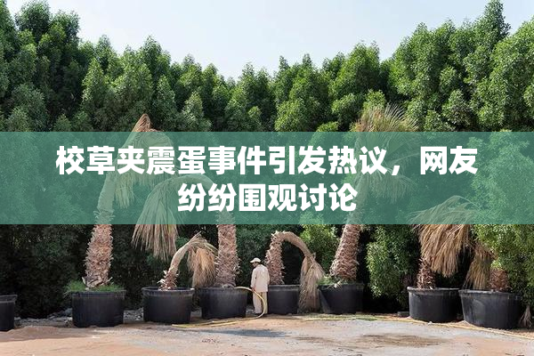 校草夹震蛋事件引发热议，网友纷纷围观讨论