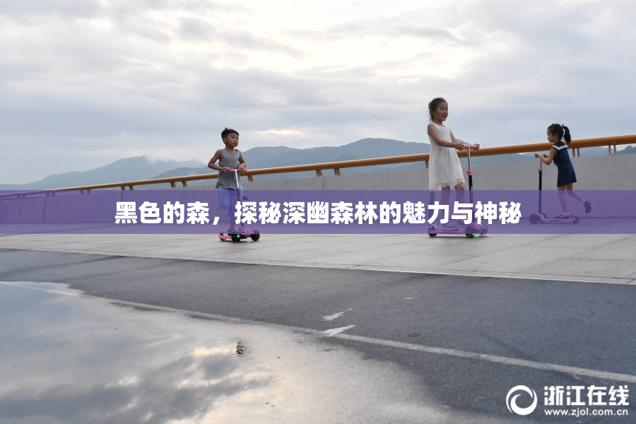 黑色的森，探秘深幽森林的魅力与神秘