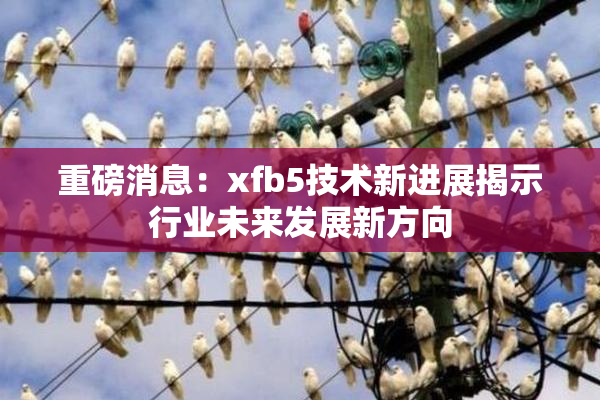 重磅消息：xfb5技术新进展揭示行业未来发展新方向