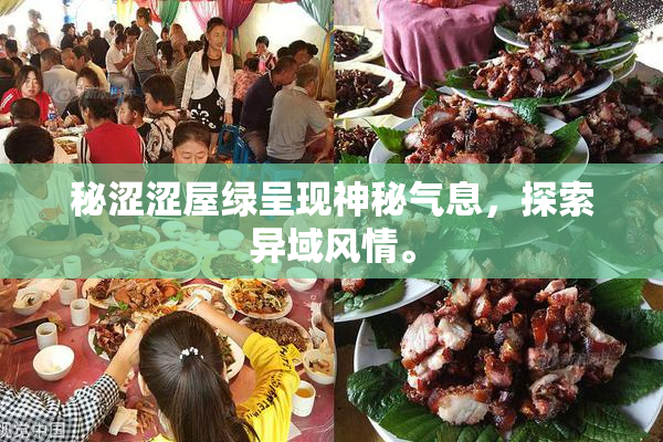 秘涩涩屋绿呈现神秘气息，探索异域风情。