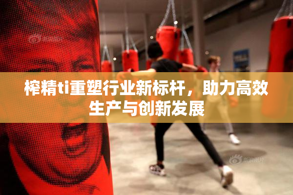 榨精ti重塑行业新标杆，助力高效生产与创新发展