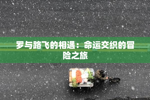 罗与路飞的相遇：命运交织的冒险之旅