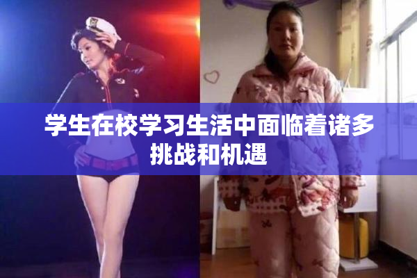 学生在校学习生活中面临着诸多挑战和机遇