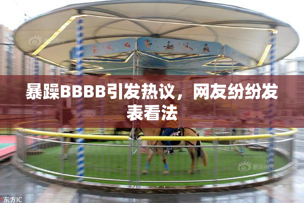 暴躁BBBB引发热议，网友纷纷发表看法