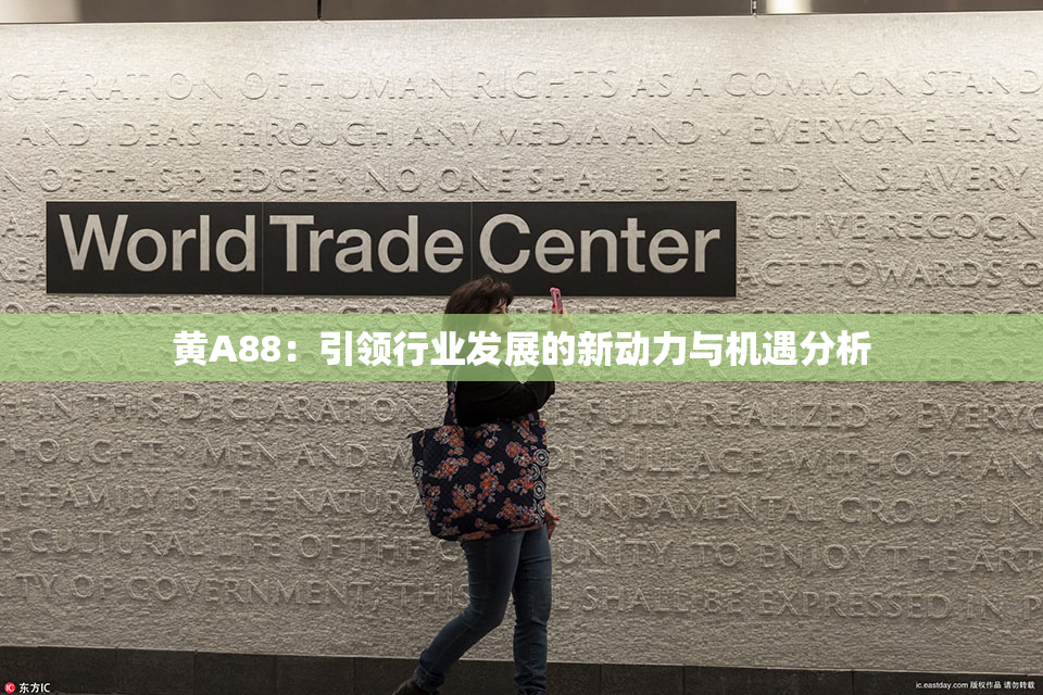 黄A88：引领行业发展的新动力与机遇分析