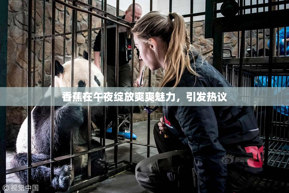 香蕉在午夜绽放爽爽魅力，引发热议