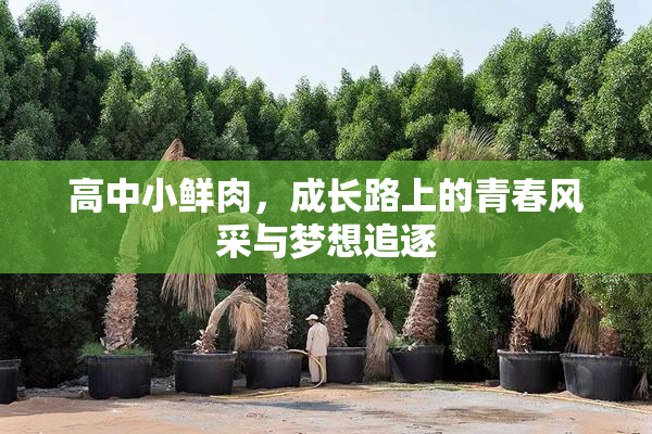 高中小鲜肉，成长路上的青春风采与梦想追逐
