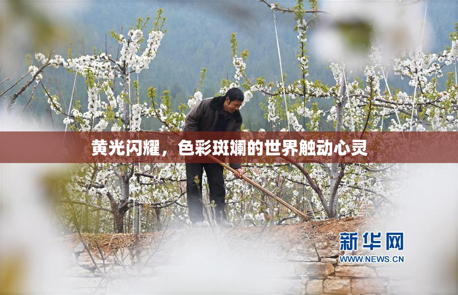 黄光闪耀，色彩斑斓的世界触动心灵